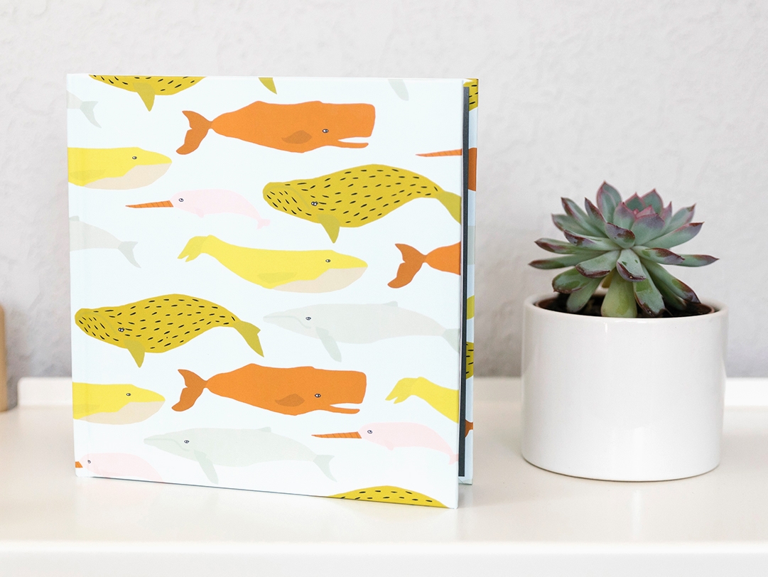 I Whale Always Love You photo book