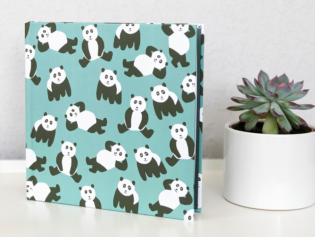 Bearly There photo book