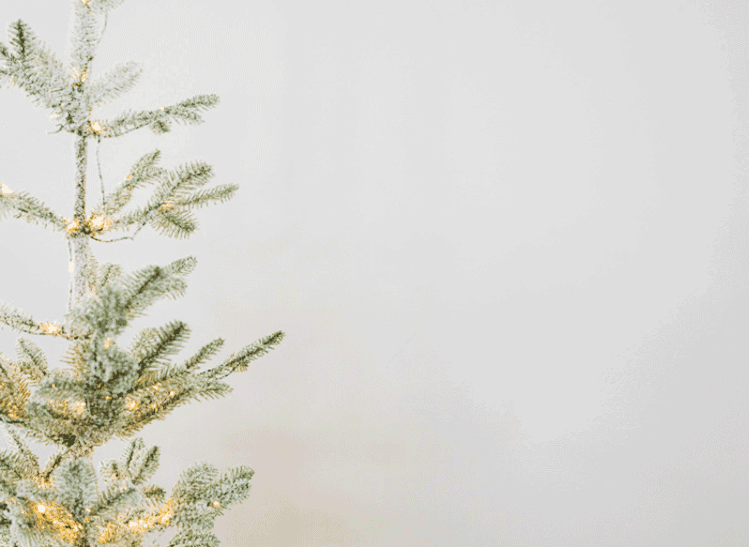 gif of holiday photo tiles appearing on wall next to light-wrapped Christmas tree