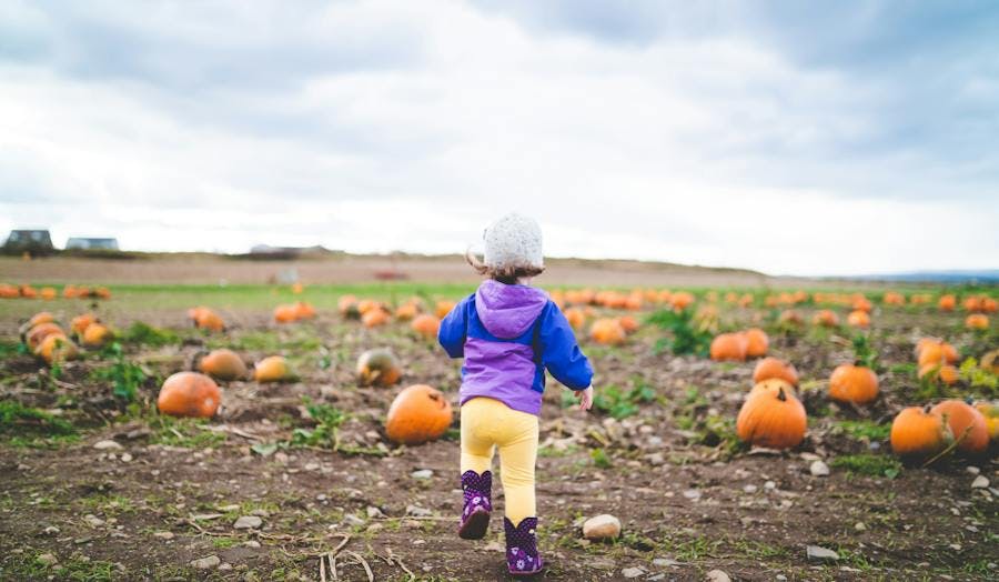baby in a pumpkin patch